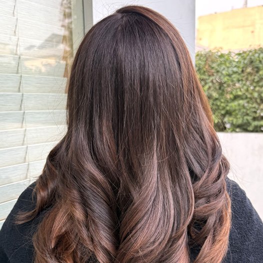 Hair Stylist Hair Stylist