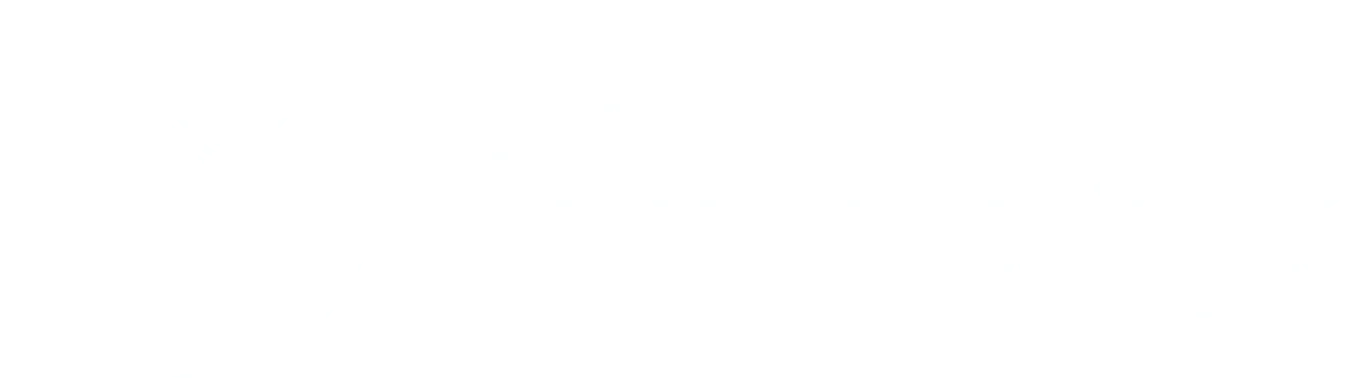 vandna's